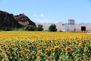 《努努之歌：英雄联盟外传》主机版1＆31推出