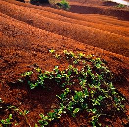 《Kingmakers》愿望单已达百万 2025年第一季度发售