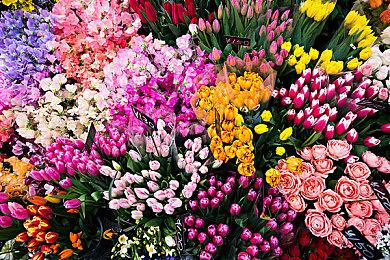 《星际战士2》泄露显示：马克6和马克7装甲即将到来